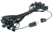 Novelty Lights 25 Foot C7 Outdoor String Light Christmas Stringer - Patio String Lights - Candelabra Base (C7/E12) - 12" Spacing - Black Wire