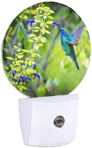 EKOBLA Hummingbird Plug-in Night Light, Spring Garden Bird & Flower LED Nightlight with Auto Sensor for Home Indoor Decor
