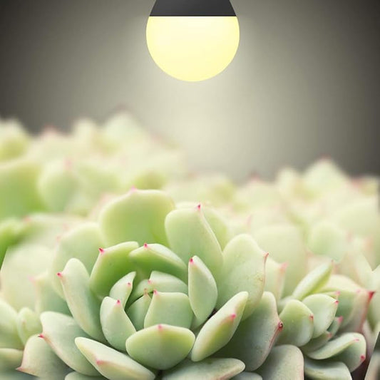4 Pack LED Grow Light Bulbs A19 Bulb, Full Spectrum Plant Light Bulb, 9W E26 Grow Bulb Replace up to 80W, Grow Light for Indoor Plants, Flowers, Greenhouse, Indore Garden, Hydroponic