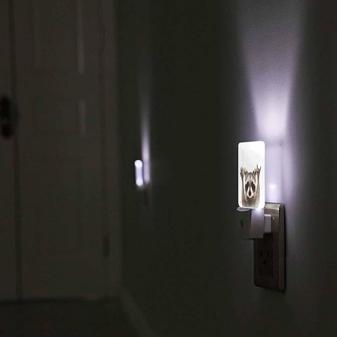 LED Night Light,Funny Cute Raccoon LED Night Light Plug into Wall with Dusk to Dawn Light Sensor White Energy Efficient Nightlight for Bedroom Bathroom Hallway Living Room Kitchen