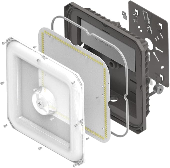 LED Canopy Lights Outdoor, with Selectable Wattage (100/80/60W) and CCT,IP65 Waterproof, for Carport, Gas Station, Tunnel, Warehouse, Inner Parkinglot,Shop Lights 10 * 10 (100W-1P)