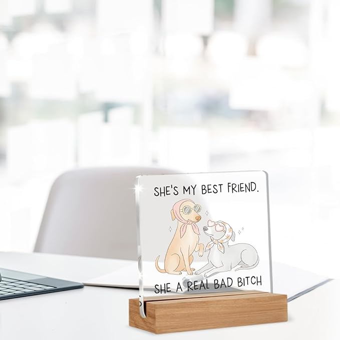 Funny Friendship Gifts for Women, Humor Christmas Birthday Gifts for Best Friend Sisters BFF, Funny Dog Acrylic Plaque Home Office Desk Decor