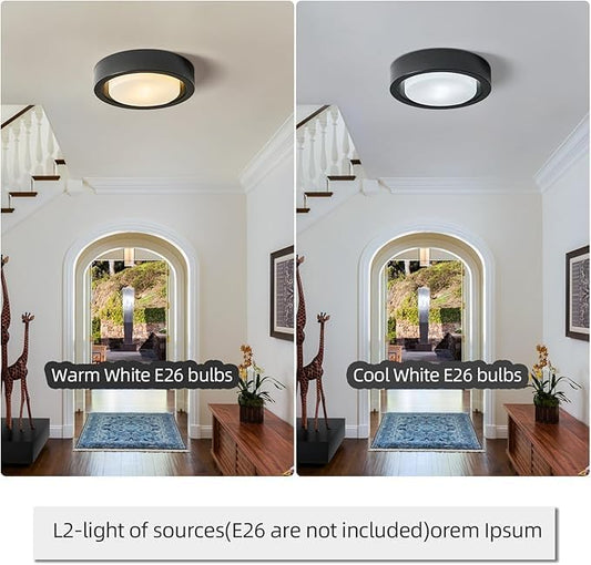 Black Flush Mount Ceiling Light,13 Inch Matte Black Ceiling Lighting Fixture,2-Light Modern Round Metal Lamp with White Frosted Glass Shade for Hallway Bedroom Closet Outdoor