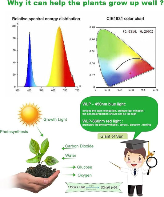 LED Grow Strip Lights Full Spectrum, 3 in 1 Each 10ft 120 LED Plant Grow Light Strip for Indoor Plants with Timer Dimmable Grow Light for Greenhouse Seed Starting