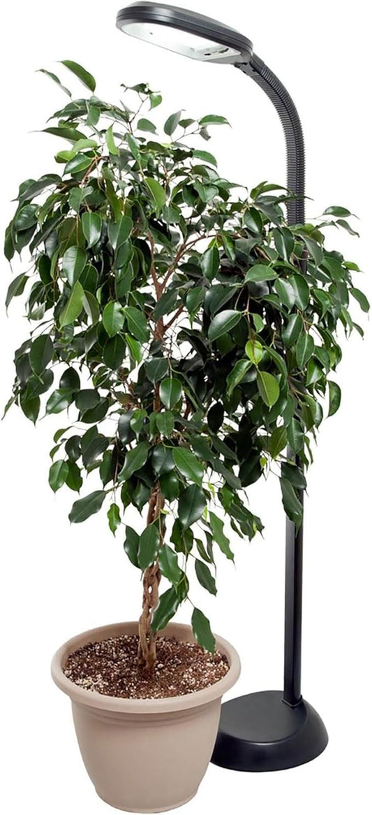 AgroBrite Hydrofarm FLF27DF 27-watt CFL, Floor Plant Light