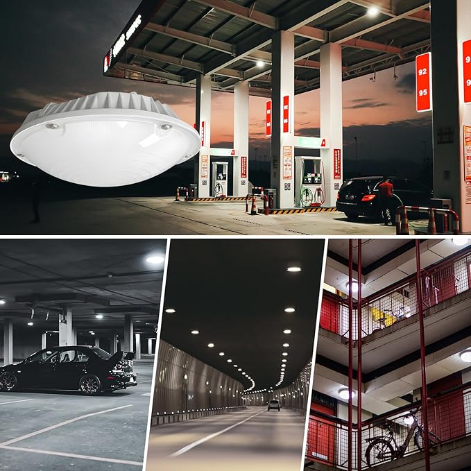 LED Canopy Light, 30W/40W/60W Wattage Selectable, 5000K Gas Station Canopy Lights, IP65 Waterproof LED Parking Garage Light, 100-277V/AC ETL Listed