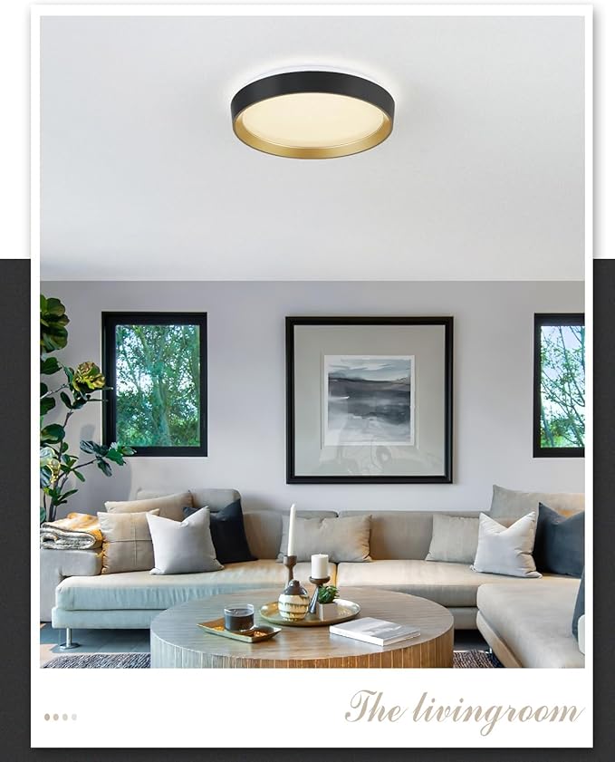 ANYLOVE 10 Inch Modern Flush Mount Ceiling Lights,White Gold Plastic Round Ceiling Light,Dimmable 3000K,3500K,4000K,5000K,6000K,for Living Room,Dining Room,Bedroom,Kitchen (Black and Gold, 10 Inch)