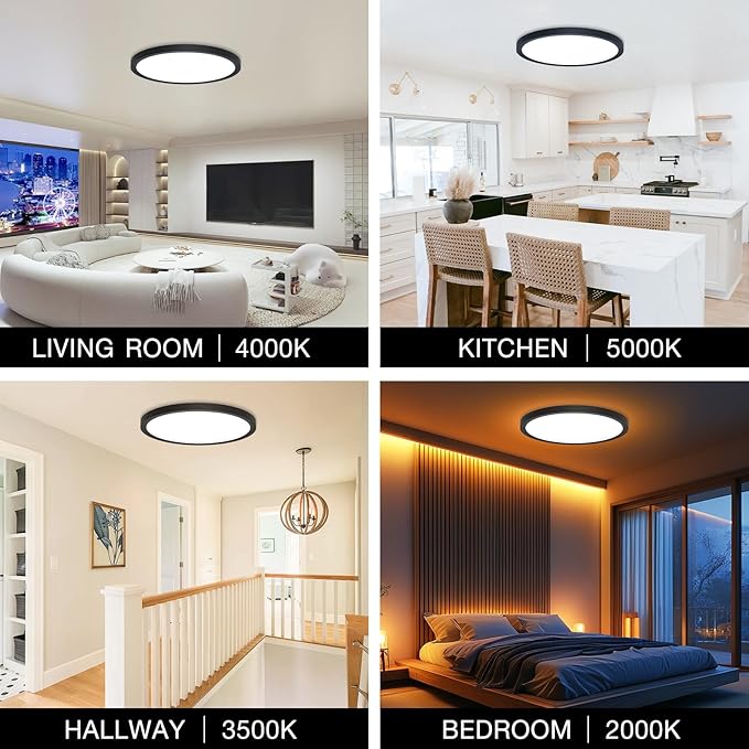 4Pack Dimmable LED Flush Mount Ceiling Light Fixture with Remote Control, 24W 2640LM, 12Inch, 2000K Warm Night Light & 3000K-6500K, Modern Super Slim Ceiling Lamp for Bedroom Kitchen, Black