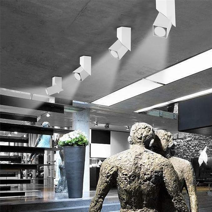 LED Indoor Ceiling Spotlight 360°Adjustable Wall Light - Art DIY Spotlights -12W Cool White Light 6000K Ceiling Downlight -Surface Mounted COB Lighting Swivel lamp (White-6000K)
