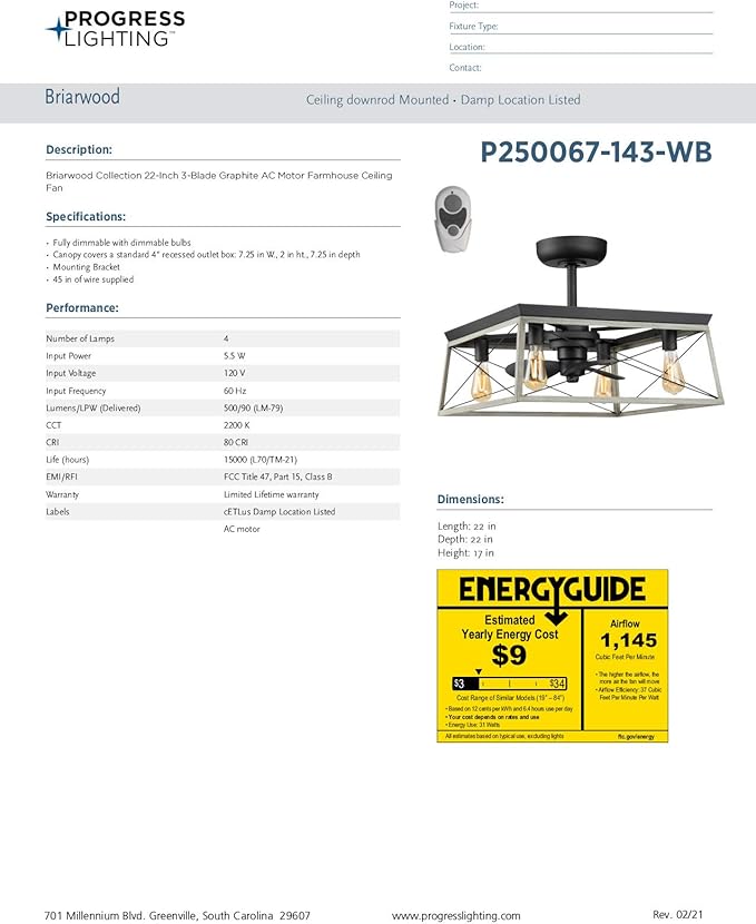 Briarwood Collection 22-Inch 3-Blade AC Motor Farmhouse Ceiling Fan Graphite