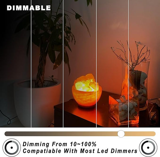 ALIDE E12 Dimmable LED Bulb 5W C7 Light Bulb,Replace 40W E12 Halogen Equivalent,Warm White 2700k T6 Base 110V 120V E12 LED Candelabra Bulbs for Ceiling Fan Chandelier Salt Lamp,450lm,10Pack