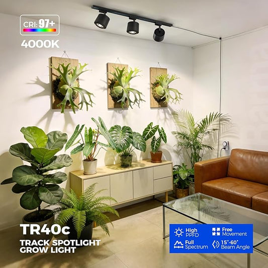 Barrina TR40c Track Grow Light for Indoor Growing, 3 x 40W, 15°-60° Adjustable Beam Angle, 4000K Ceiling Mount Full Spectrum Grow Lamp, LED H-Type Plant Light Bulbs for House Plants with Timer, Blcak