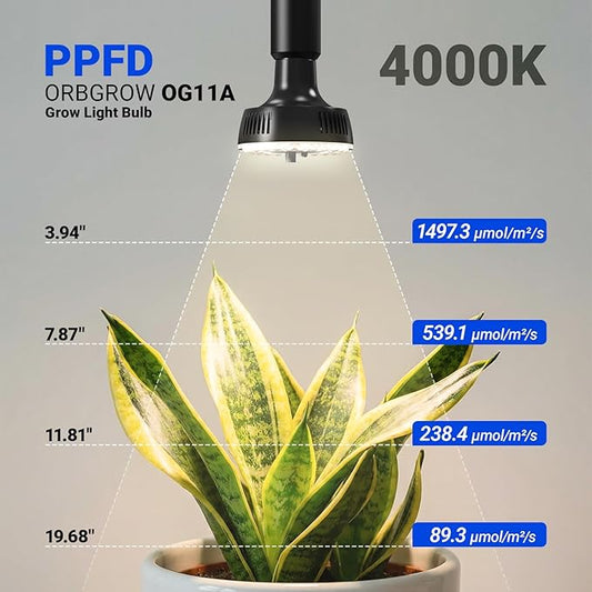 Barrina Orbgrow OG11A Grow Light Bulbs for Indoor Plants, Integrated Dimming & Timing, 4000K 22W(2 x 11W, 200 Watt Equiv), E26 Plant Light Bulb, Full Spectrum for Seeds and Greens, 2 Packs, Black