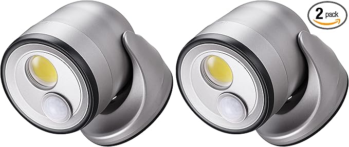 Light IT! by Fulcrum, 33002-101 LED Floodlight, Silver, 2 Pack