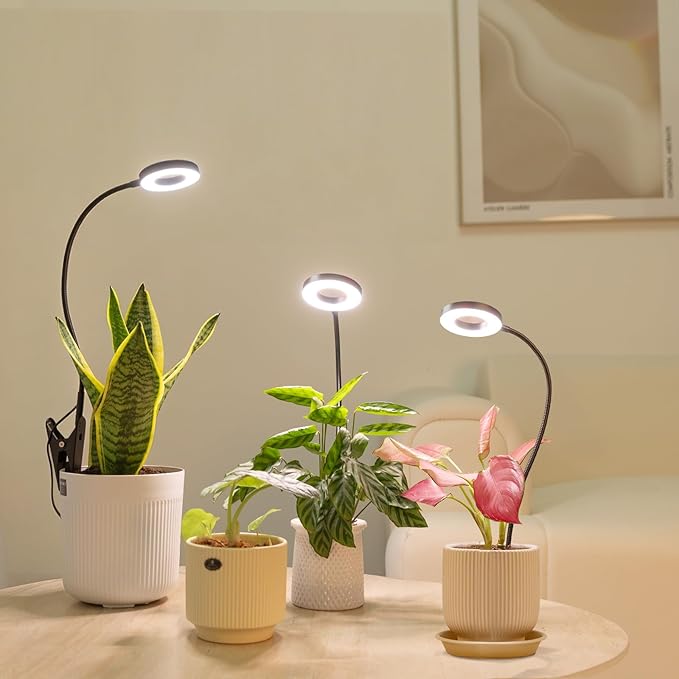 LORDEM Grow Lights for Indoor Plants, 2 in 1 Full Spectrum Plant Light with 360° Gooseneck, 48 LEDs, Auto Timer 6/8/12/16H, 3 Lighting Modes,5 Brightness Levels for Small Plants, Black