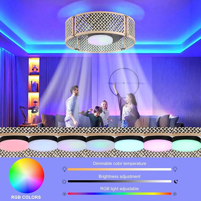 Ganeed 20" Boho Caged Fandelier with Lights, 18W Dimmable LED Rattan Ceiling Fan with Lights and Remote Control, Enclosed 6 Speeds/RGB Low Profile Bamboo Fan Light for Bedroom, Living Room, Kitchen