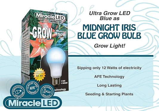 Miracle LED Craft Lighting Midnight Iris Blue Spectrum LED Grow Light Bulb Replacing 150W (4-Pack)