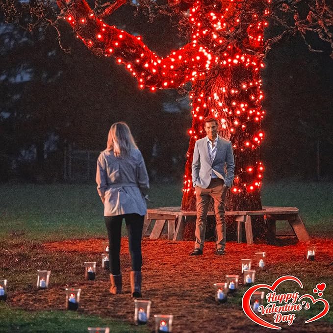 100FT 300 LED Christmas Lights Outdoor, Plug in String Lights for Outside Waterproof with 8 Modes, Connectable Green Wire Fairy Twinkle Lights for Indoor Patio Garden Xmas Holiday Decorations, Red