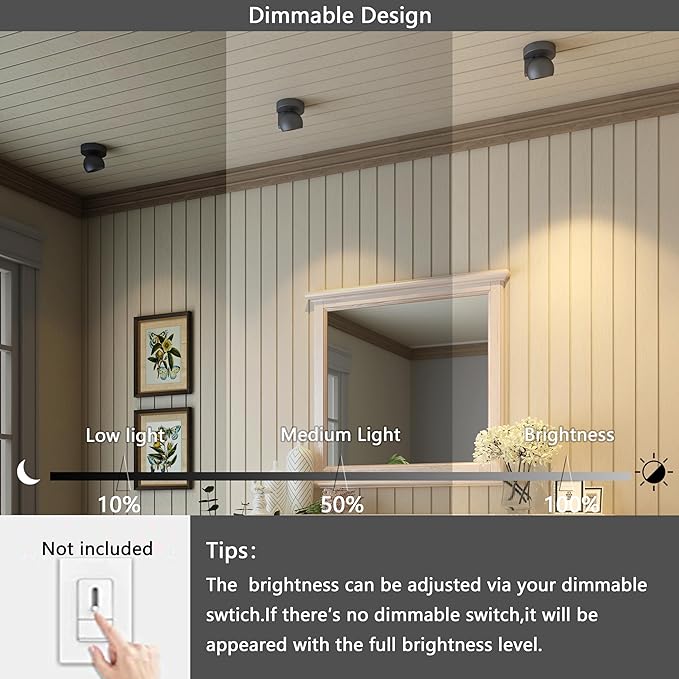 LED Ceiling Light Dimmable Flush Mount Adjustable Ceiling Light Fixture, Directional Spotlight for Pictures Living Room Bedroom Foyer - 3000K 11W 25° Flicker Free (Black)