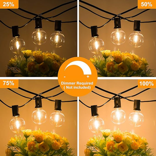 Bosceos 80FT Outdoor G40 LED Globe String Lights Dimmable Waterproof Shatterproof Light Strings with 40 Bulbs Connectable Commercial Hanging Lights for Christmas Patio House Backyard Balcony Party