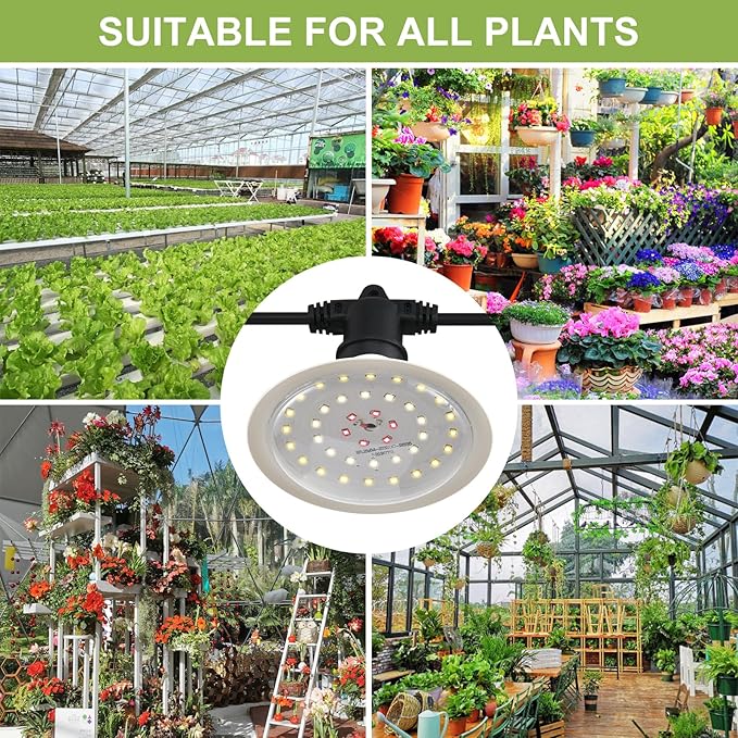 Outdoor Grow Lights for Plants, Full Spectrum Greenhouse Grow Light, Outdoor Waterproof Appearance Patent Design, 22FT Adjustable Cord for Vegetables, Seedlings, Flowers (6 Lights)