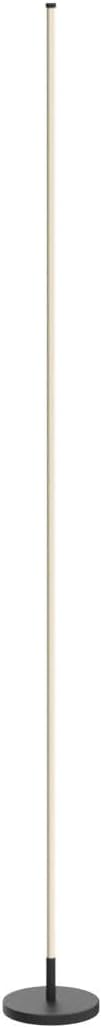 TACAHE Minimalist Corner Floor Lamp - 2700K-6500K Dimmable LED Night Light - Modern Standing Mood Lamp with Remote Control for Living Room, Bedroom - 57" 12W - Black - 1Pack