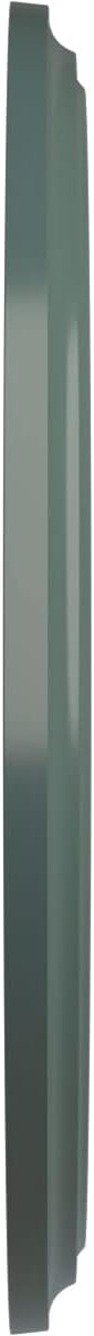 Ekena Millwork CM41CLCBF - 41 1/8"OD x 4"ID x 2 1/8"P Classic Ceiling Medallion (Fits Canopies up to 5 1/2") - Ceiling Medallion, Cloud Burst