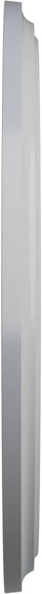 Ekena Millwork Classic Ceiling Medallion, Frost