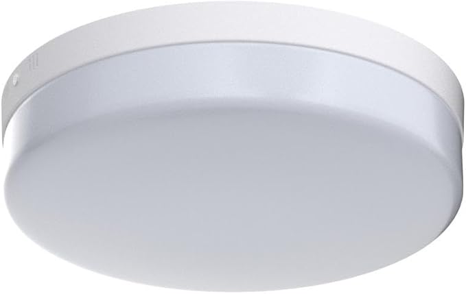 DLLT 12W LED Flush Mount Ceiling Light, 4.72" Flat Modern Round Lighting Fixture, 100W Equivalent White Ceiling Lamp for Closet/Bathroom/Hallway/Porch/Laundry Room, 6000K Cool White, Non-Dimmable