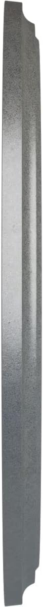 Ekena Millwork CM41CLPLS - 41 1/8"OD x 4"ID x 2 1/8"P Classic Ceiling Medallion (Fits Canopies up to 5 1/2") - Ceiling Medallion, Platinum