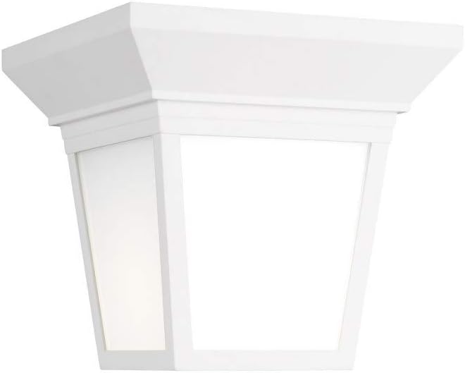 Generation Lighting 1-Light LAVON Traditional Outdoor Ceiling Light White 7546701-15, Flush Mount Ceiling Light Fixture for Home Decor, Farmhouse Outdoor Light Fixture Can Use LED Light Bulb