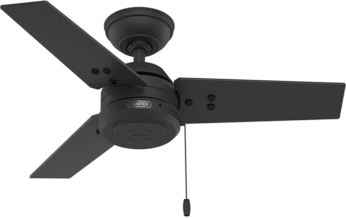 Hunter Cassius - Outdoor or Indoor Ceiling Fan No Light (Matte Black, 36 inch)