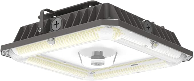 LED Canopy Lights Outdoor, with Selectable Wattage (100/80/60W) and CCT,IP65 Waterproof, for Carport, Gas Station, Tunnel, Warehouse, Inner Parkinglot,Shop Lights 10 * 10 (100W-1P)