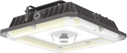 LED Canopy Lights Outdoor, with Selectable Wattage (100/80/60W) and CCT,IP65 Waterproof, for Carport, Gas Station, Tunnel, Warehouse, Inner Parkinglot,Shop Lights 10 * 10 (100W-1P)