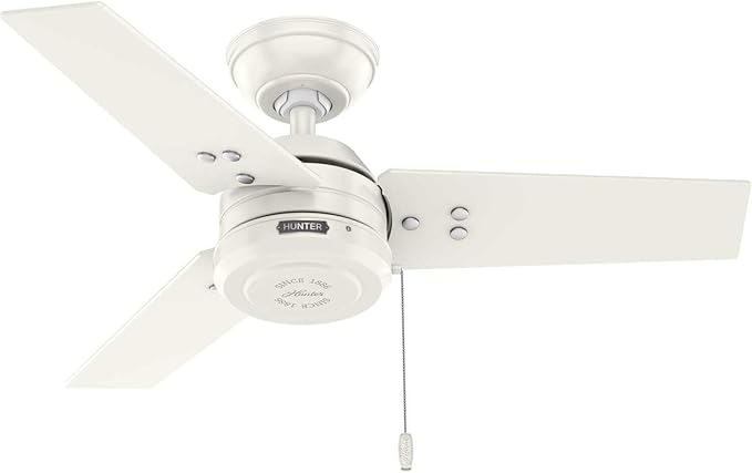 Hunter 36 inch Outdoor or Indoor Ceiling Fan No Light - White Ceiling Fan without Light, For Patio, Porch, Garage, or Living Room, Standard Mount, 3 Blades, Pull Chain - Cassius 50321, Fresh White