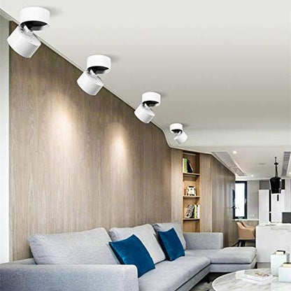 Dimmable Ceiling Spotlight,Indoor 360°Adjustable Surface Mounted LED 10W COB Ceiling Downlight-Wall Lamp for Picture Background Wall Display Lighting(Natural Light 4000K,White)