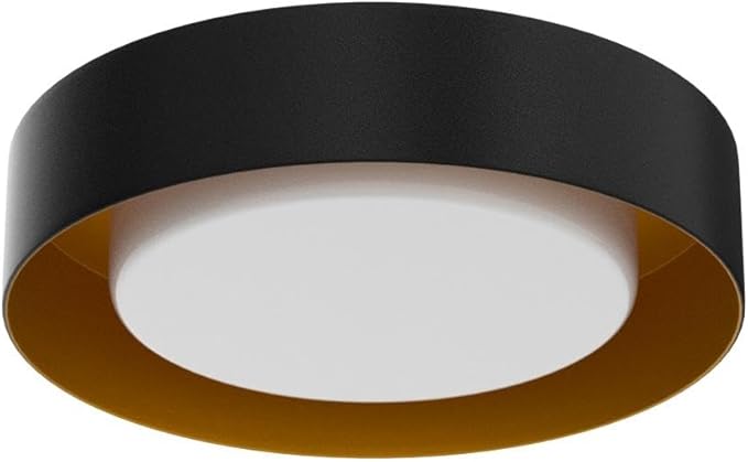 Yiisem Modern Black and Gold Flush Mount Ceiling Lights, 16.5" Minimalist Glass Round Ceiling Lighting, Drum Close to Ceiling Light Fixtures for Living Room, Bedroom, Dining Room, Kitchen, Hallways