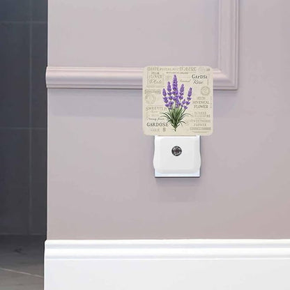 Lavender LED Night Lights Plug into Wall Vintage Postcard Background 0.5W Plug in Night Light, Dusk to Dawn, Bright Nightlight Auto On/Off, for Room Bedroom Bathroom