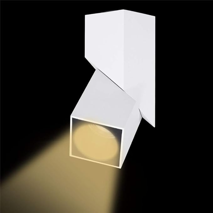 LED Indoor Ceiling Spotlight 360°Adjustable Wall Light - Art DIY Spotlights -12W Warm White Light 3000K Ceiling Downlight -Surface Mounted COB Lighting Swivel lamp (White-3000K)