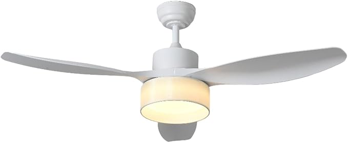 Eamonex LED 52 inches DC Fabric Ceiling Fan with Light Fixture and Remote Control,Modern Boho Dimmable Fandelier for Indoor,Outdoor,Bedroom,Living room,Dining room