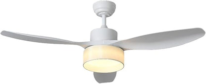 Eamonex LED 52 inches DC Fabric Ceiling Fan with Light Fixture and Remote Control,Modern Boho Dimmable Fandelier for Indoor,Outdoor,Bedroom,Living room,Dining room