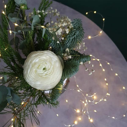 Feit Electric Fairy Light LED 6 Foot, Silver Wire Light, AA Battery or USB Powered, (6-Pack)