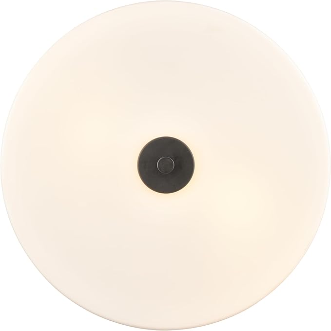 ML Lighting 214102-MB Laphia 13.25" Wide 2-Light Flushmount - Matte Black