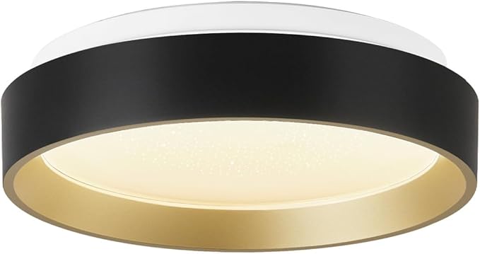 ANYLOVE 10 Inch Modern Flush Mount Ceiling Lights,White Gold Plastic Round Ceiling Light,Dimmable 3000K,3500K,4000K,5000K,6000K,for Living Room,Dining Room,Bedroom,Kitchen (Black and Gold, 10 Inch)