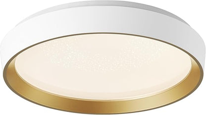 ANYLOVE 10 Inch Modern Flush Mount Ceiling Lights,White Gold Plastic Round Ceiling Light,Dimmable 3000K,3500K,4000K,5000K,6000K,for Living Room,Dining Room,Bedroom,Kitchen (White and Gold, 15 Inch)