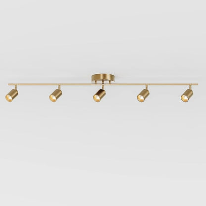Shura Brushed Brass 5-Light Track Light with Adjustable Heads, Integrated LED Bulbs, 4 ft. Track Lighting Kit Ceiling Light, 3000k, 2450 Lumens