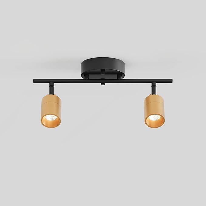 Shura Black & Brass 2-Light Track Light with Adjustable Heads, Integrated LED Bulbs, 15 in. Track Lighting Kit Ceiling Light, 3000k, 1120 Lumens