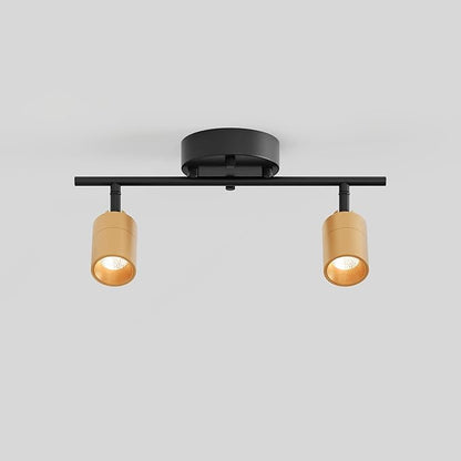 Shura Black & Brass 2-Light Track Light with Adjustable Heads, Integrated LED Bulbs, 15 in. Track Lighting Kit Ceiling Light, 3000k, 1120 Lumens