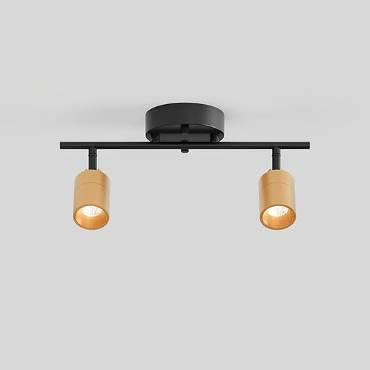 Shura Black & Brass 2-Light Track Light with Adjustable Heads, Integrated LED Bulbs, 15 in. Track Lighting Kit Ceiling Light, 3000k, 1120 Lumens