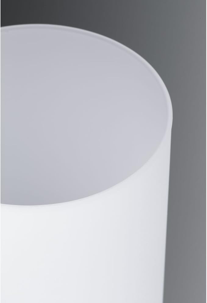 Progress Lighting Replay Collection 1-Light Etched White Glass Modern Bath Vanity Light Brushed Nickel, E26